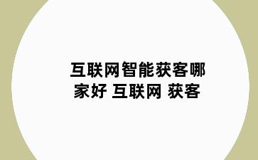 互联网智能获客哪家好 互联网 获客